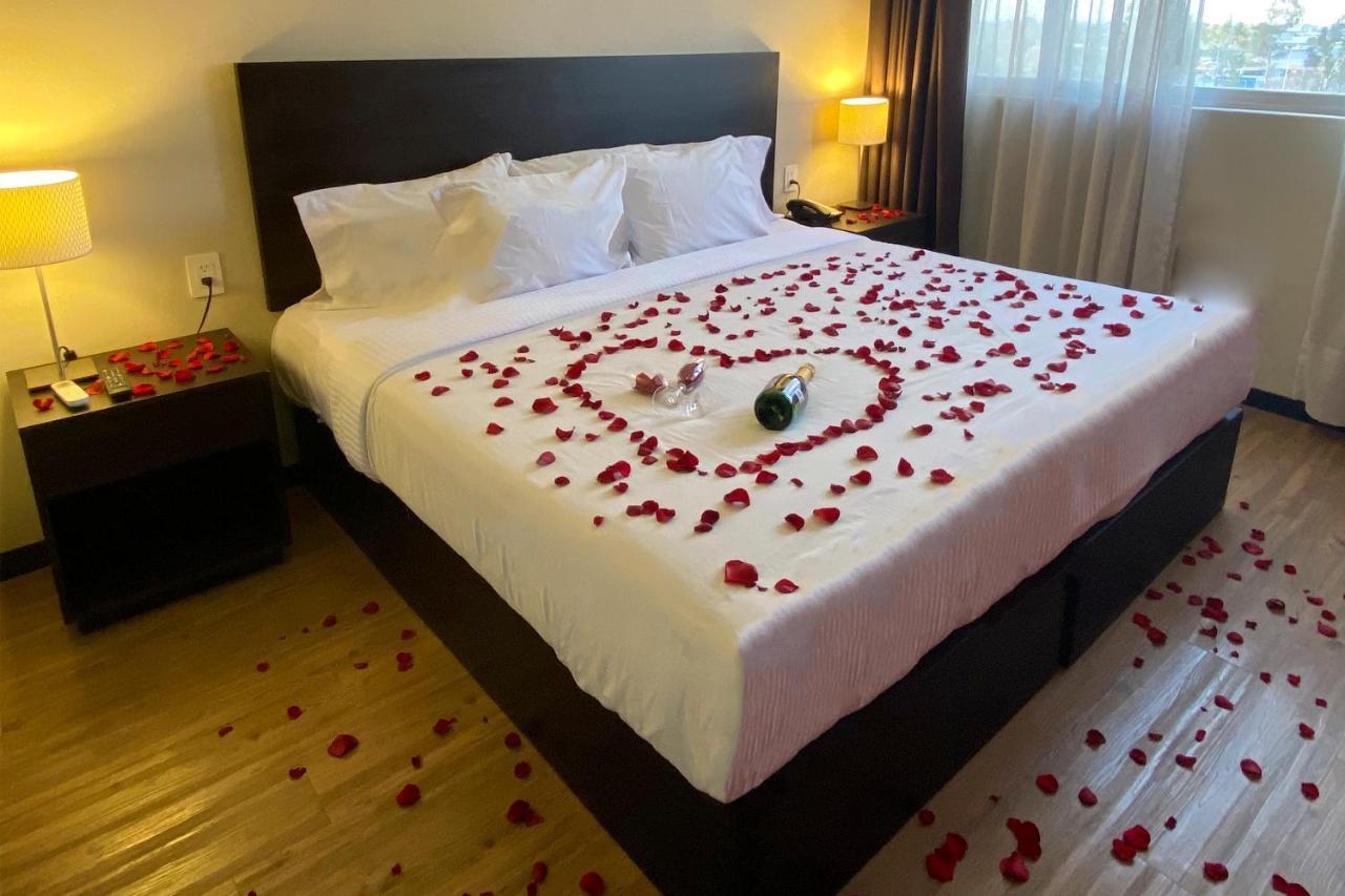 Comfort Inn San Luis Potosi Ngoại thất bức ảnh